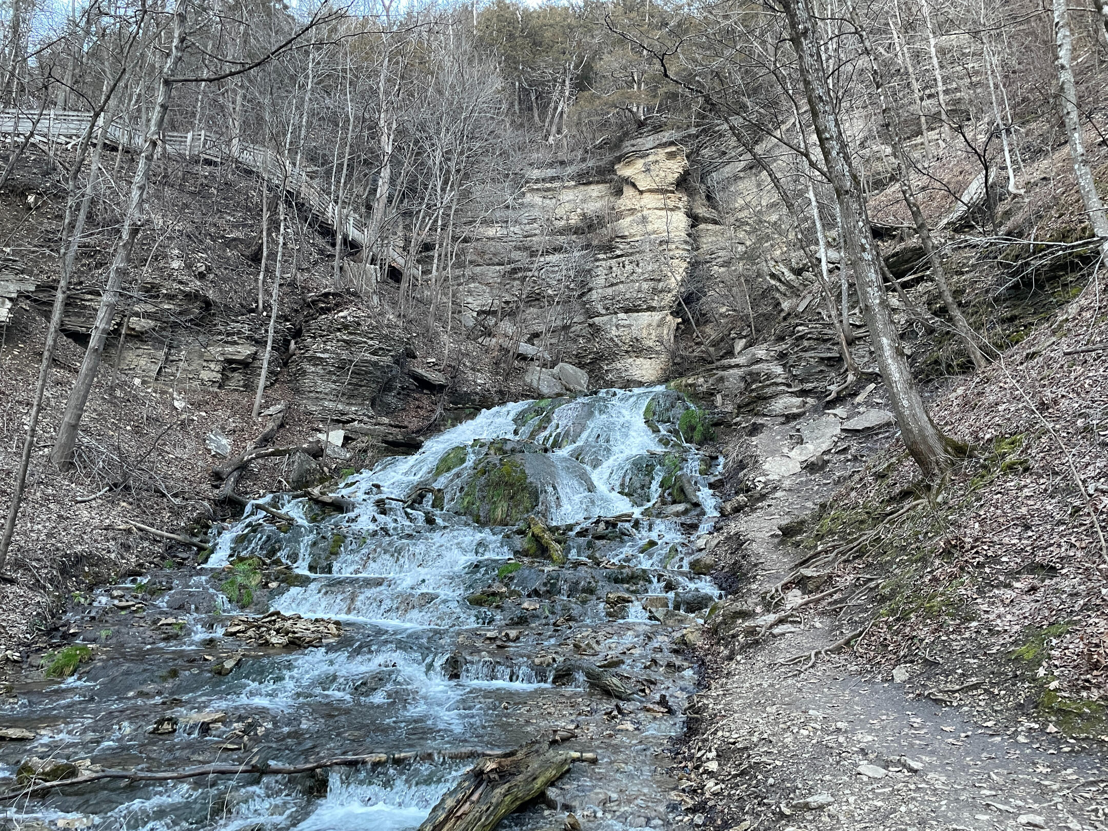A wide shot of the tiered cascading waterfall at Dunning's Spring Park in Decorah, Iowa. The water flows over mossy rocks and limestone cliffs into a shallow stream. Bare deciduous trees and a rocky hiking trail surround the falls under a clear sky.
